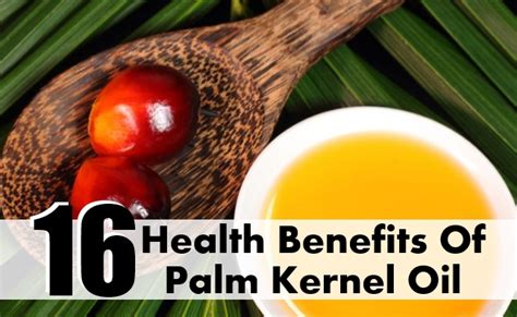 Especially this issue concerns those people who actively monitor the condition of your body. 16 Health Benefits Of Palm Kernel Oil | Search Herbal ...