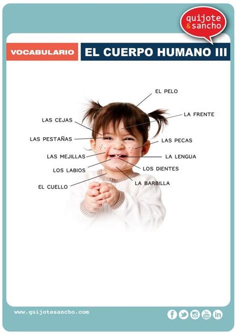 Vocabulario Aula De Español Cuerpo Humano