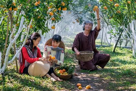 Ucapan Selamat Hari Buah Sedunia Singkat Dan Penuh Makna