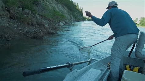 Bow River Dry Fly Fishing - YouTube