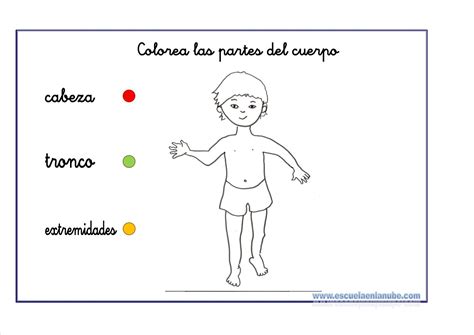 Cuerpohumano01 Escuela En La Nube Recursos Para Infantil Y Primaria