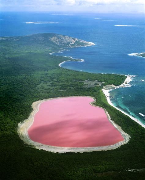 World Visits Pink Lake In Western Australia