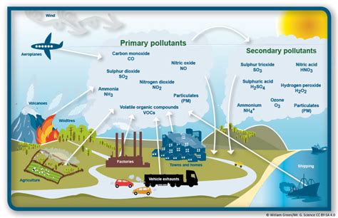 Solved What Are The Major Primary Air Pollutants And Their Sources