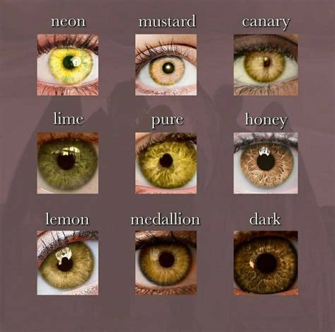 Pin By Rio On ピン In 2022 Rare Eye Colors Eye Color Chart Rare Eyes