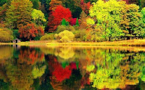 Autumn Lake Hd Wallpaper Background Image 2560x1600 Id658650