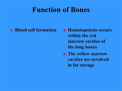 Ppt Bones And Bone Tissues Powerpoint Presentation Free Download