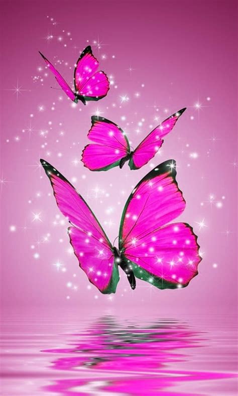 1920x1080px 1080p Free Download Pink Butterflies Animal Bright