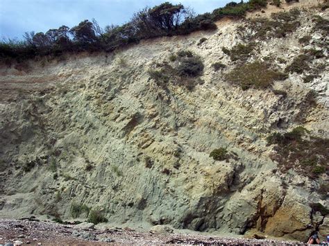 Dorset Coast Geology Greensand Deposited In A Shallow Sea 125