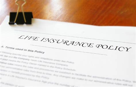 There are a few whole life insurance dividend options that policyholders can choose from with most policies. A Guide to Dividend-Paying Whole Life Insurance