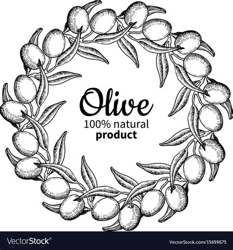 Olive Wreath Hand Drawn Of Royalty Free Vector Image