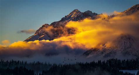 3099289 Austria Backlit Birds Clouds Dawn Daylight Dusk