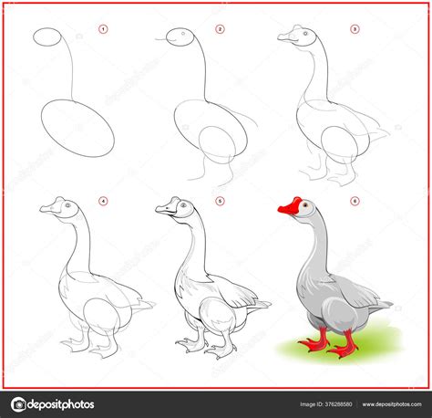 Page Shows How Learn Draw Step Step Cute Goose Farm — Stock Vector