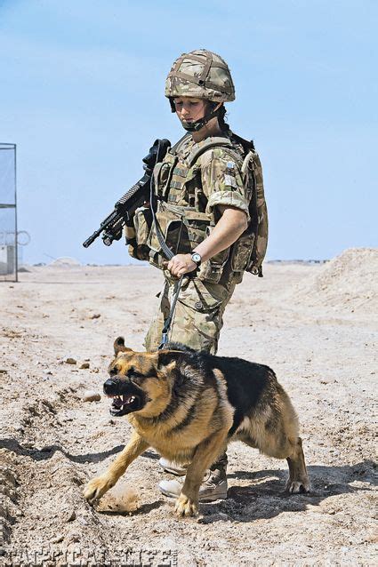 249 Best German Shepherd War Dog Images On Pinterest