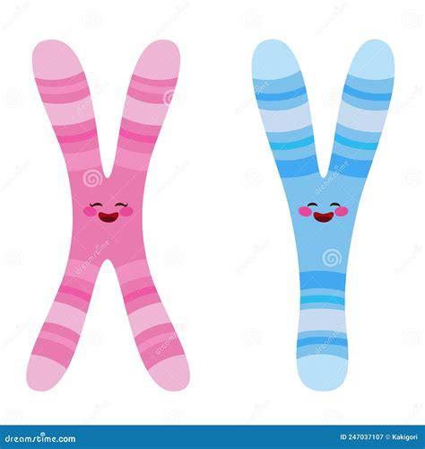X And Y Chromosome Characters Stock Vector Illustration Of Blue Background 247037107