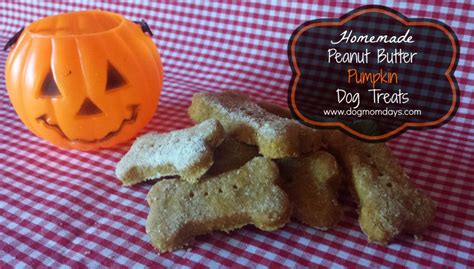 Diy Homemade Peanut Butter Pumpkin Dog Treats Dog Mom Days