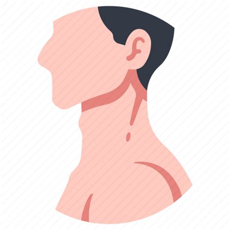Anatomy Body Head Human Medical Neck People Icon Download On