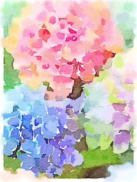Waterlogue Hydrangea Painting Watercolor Hydrangea Watercolor Flowers