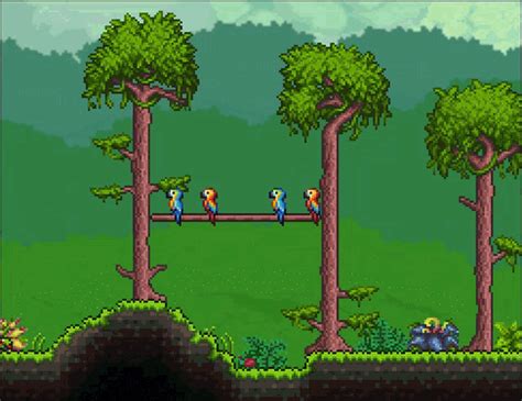 Terraria Parrot  Terraria Parrot Discover And Share S