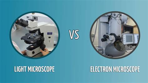 Light Microscope Vs Electron Microscope Life In Atomic Resolution