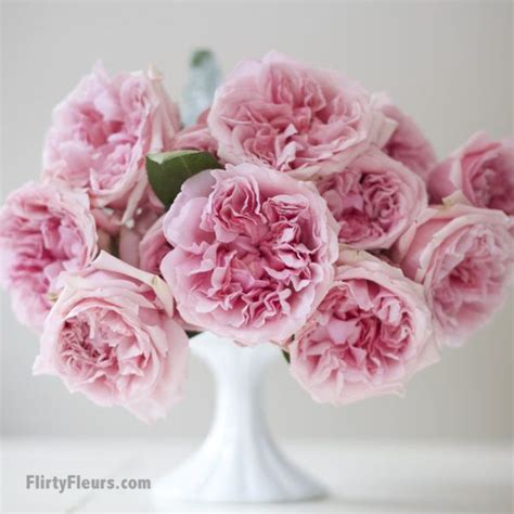 Flirty Fleurs Pink Garden Roses Study With Alexandra Farms David