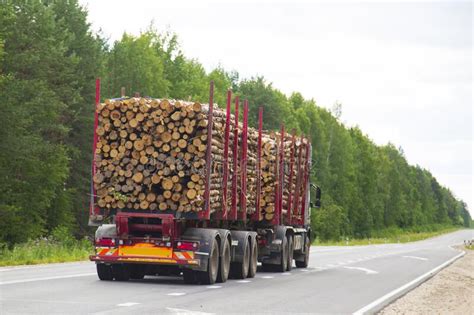 Logging Truck Carries Logs On The Road In The Summer Stock Photo