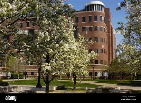 Beering Hall Of Liberal Arts And Education And Founders Park Purdue