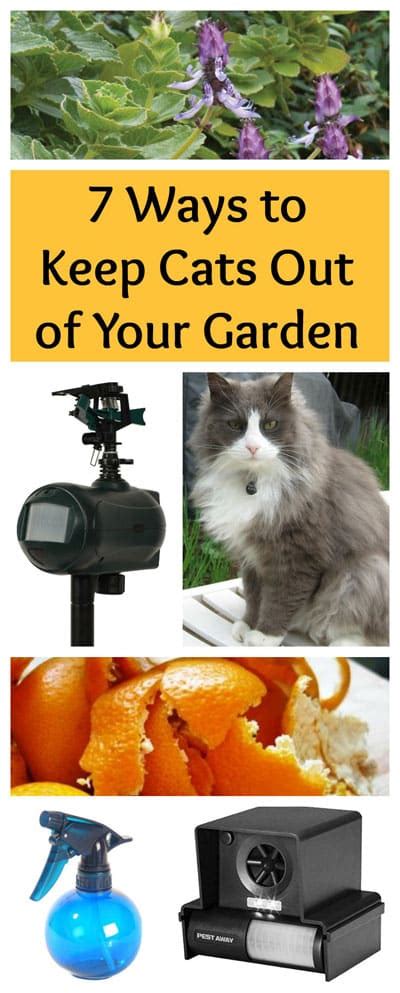 We have tried so many things to keep the cats out of our yard but nothing seems to work. 7 Ways to Keep Cats out of Your Garden • Brown Thumb Mama