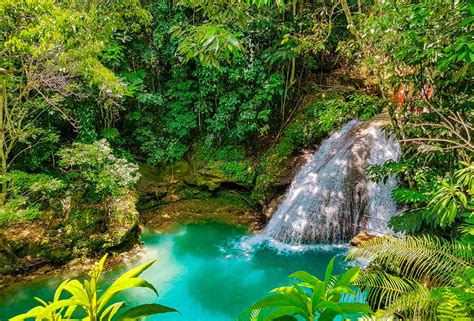 磊 Top 10 Things To Do In Jamaica Rainforest Adventure