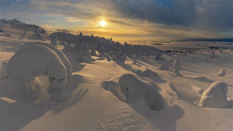 Snow Covered Field During Sunrise Hd Winter Wallpapers Hd Wallpapers