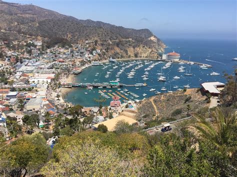 Catalina Island Southern Californias Resort Getaway Destination The Log