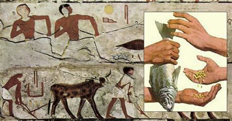 Ancient Egypt Economy