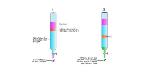 Chromatography Definition Principles Types Applications Faqs