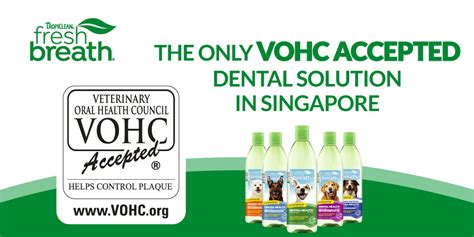 Tropiclean Dental Month Deals Silversky Delivering Wow To Everything Pets
