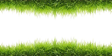 Grass Patch Png Png Image Collection