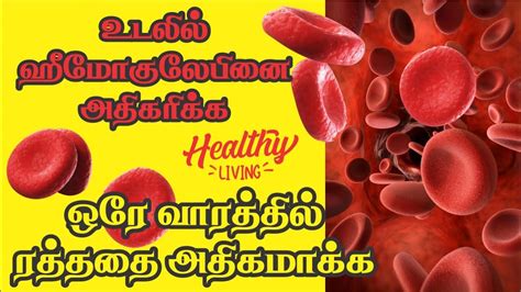 To increase your folate intake, eat foods like beetroot, avocados, peanuts, kidney beans, beef, and. ஒரு வாரத்தில் ஹீமோகுளோபின் அதிகப்படுத்துவது எப்படிHow to ...