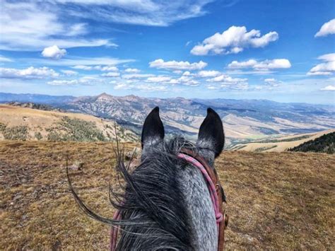 Dude Ranch Montana Covered Wagon Ranch Review Writing Horseback