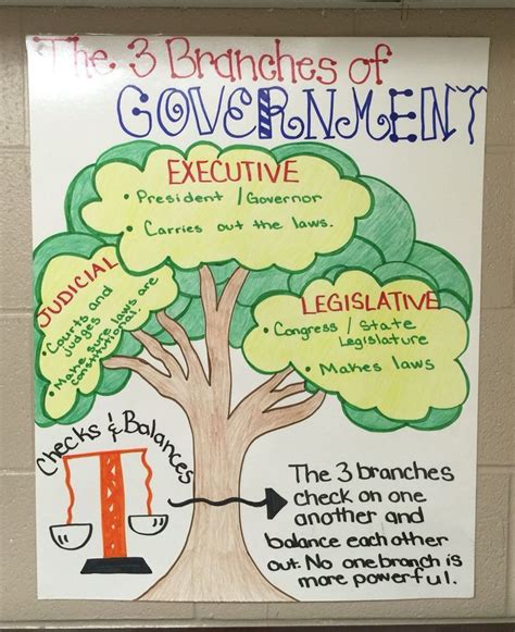 3 Branches Of Government Activities