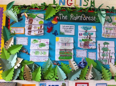 Rainforest Classroom Rainforest Theme Rainforest Activities