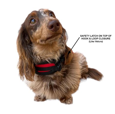 Hug A Dog Harness Coat™ Water Resistant Coat For Dachshunds Fleece And