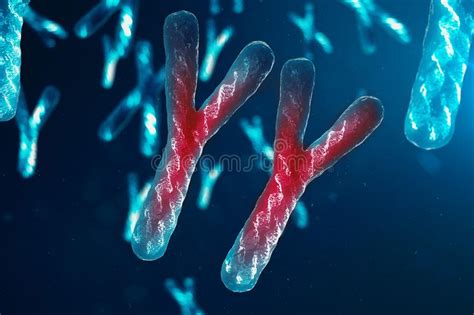 La Infección De Los Xx Cromosomas Dna Del Virus O De La Infección