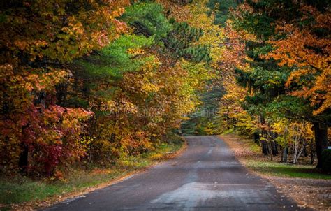 Colorful Country Roads In October Stock Photo Image Of Forests