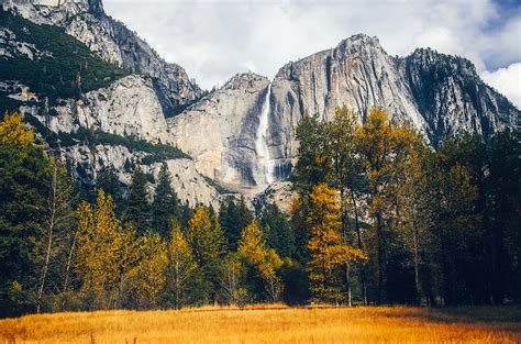 From bed bugs to rodents , and everything in between, we've got you covered. 5 Best Places to Explore Nature in Modesto, CA - Lawnstarter