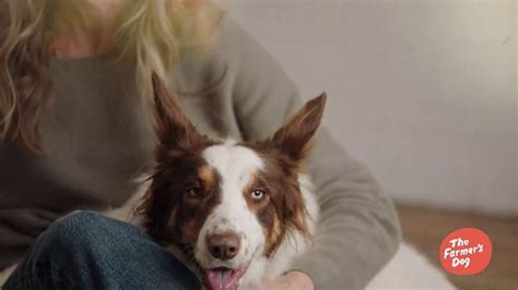 We're here for the dogs. - The Farmer's Dog TV Commercial, 'Linnae & Roxy' - iSpot.tv