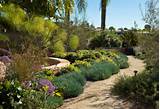 Photos of What Is Drought Tolerant Landscaping