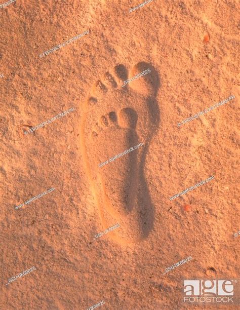 Adult And Child Footprints In Sand Stock Photo Picture And Rights
