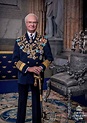 Carl 16. Gustaf - Konge af Sverige - Karriere - lex.dk