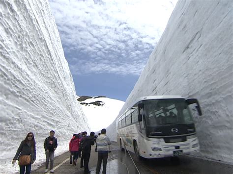 Amazing Toyama Snow Wall Along The Tateyama Kurobe Alpine Route Wow U