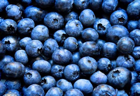 Free Images Summer Food Produce Blueberry Market Blue Healthy
