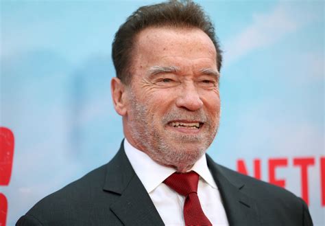 Arnold Schwarzenegger Net Worth 2024 Parade