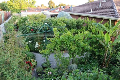 Is it possible to produce abundant spaces that provide food, fibre and energy whilst permaculture has had a lot of additions and has a lot of people who have different views but let's. The Birth of a Permaculture Food Forest - Before & After ...